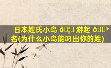 日本姓氏小鸟 🦅 游起 💮 名(为什么小鸟能叼出你的姓)